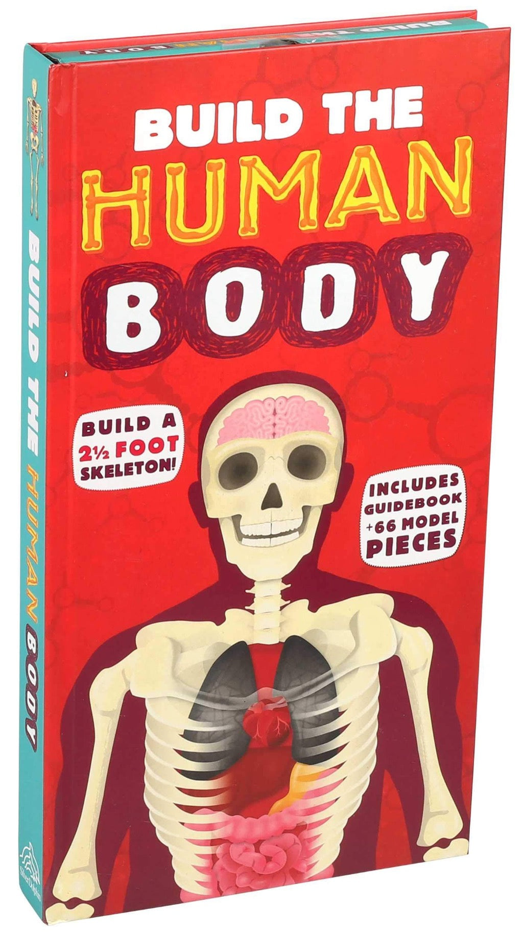Build the Human Body