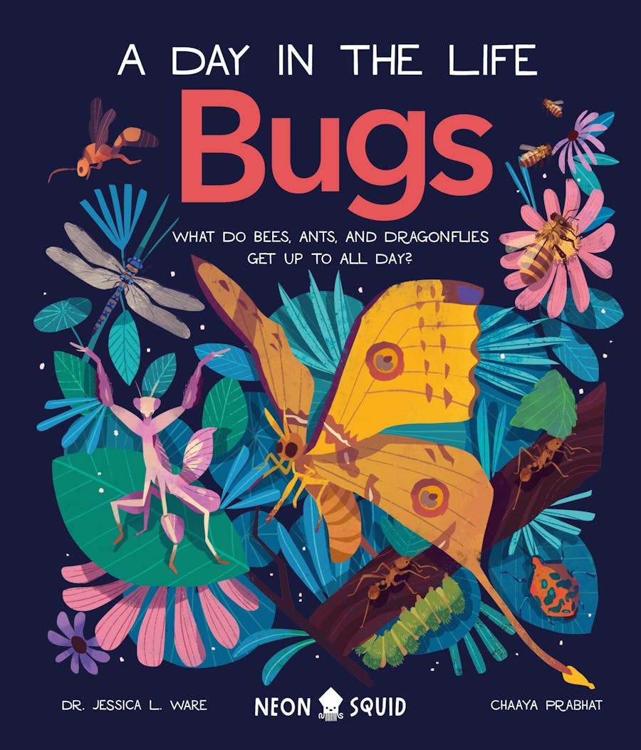 Day in the Life of Bugs