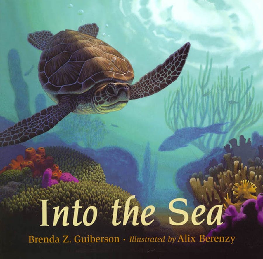 Into the Sea (Paperback)