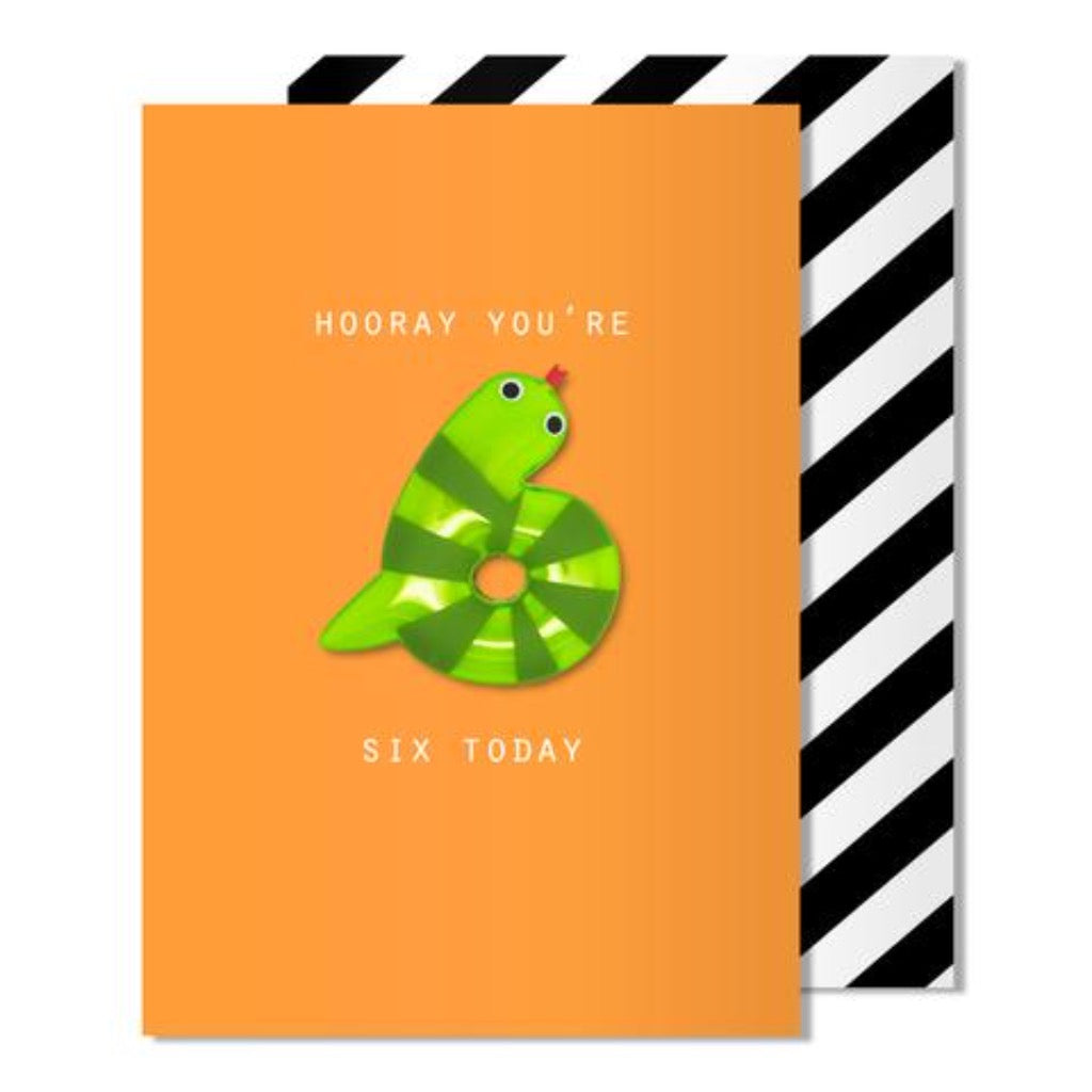 Pango Age 6 Snake Magnet Card